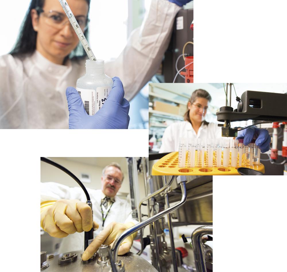 Impfstofffertigung in Rockville