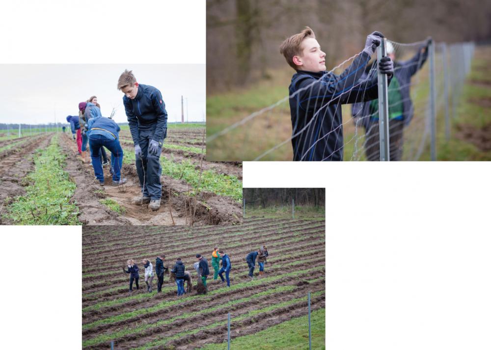 Fotos: Hartmut Bösener